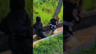 Download lagu Story WA srikandi terbaru || psht, pshw, ikspi, ts, pn mp3