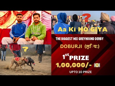 1,00,000/-💵 THE BIGGEST MIX GREYHOUND DERBY VLOG HARRY,PAVI (DOBURJI,LUDHIANA) Date-15,1,2024 #dogs