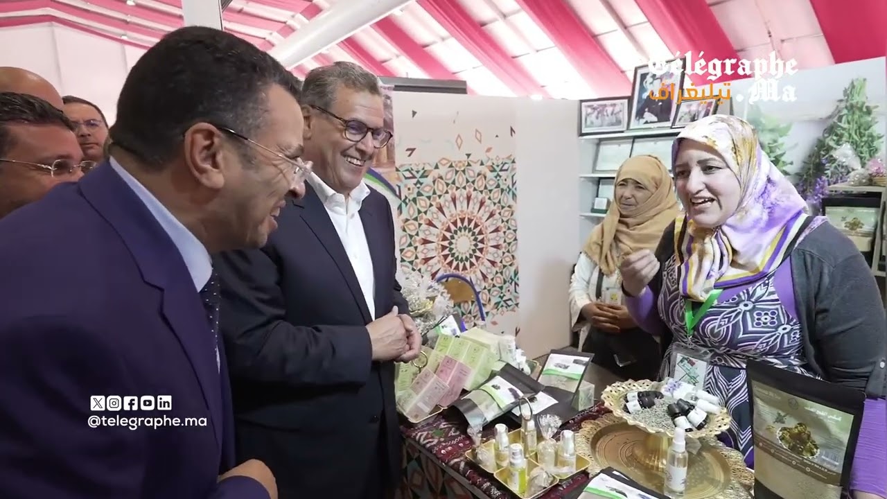 بالفيديو.. رئيس الحكومة أخنوش يزور معرض الفلاحة بمكناس "سيام 2025" في يومه الختامي