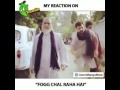 Funny Foog Gali