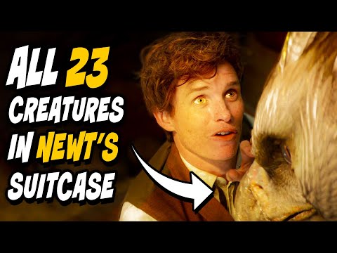 ALL 23 Creatures & 15 Habitats Inside Newt's Suitcase (+How it WORKS) - Harry Potter Explained