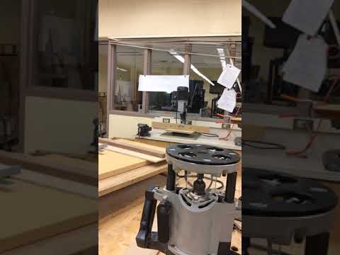 Stopped dadoes with a router and fence.