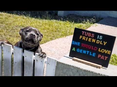 He was not loved because of his terrifying appearance until people saw his true face.