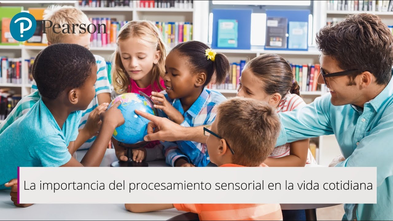 La importancia del procesamiento sensorial en la vida cotidia