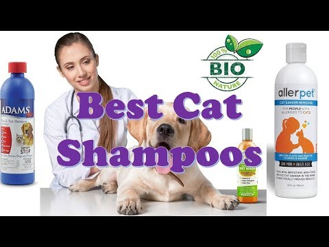 Best Cat Shampoos 2022 [ Top 10 Cat Shampoos Picks ]