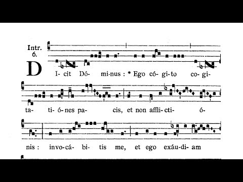 Dominica XXIII post Pentecosten (XXIII Sunday after Pentecost) - Introitus (Dicit Dominus)