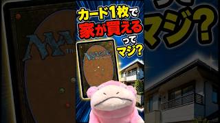 【カードゲーム】カード1枚で家が買えるってマジ？【MTG】【マジックザギャザリング】 【ひとつの指輪】