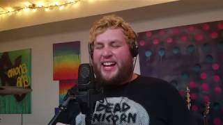 Yellow Cat (slash) Red Cat