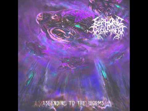 Euphoric Defilement - Ascending To The Worms [Full Album]