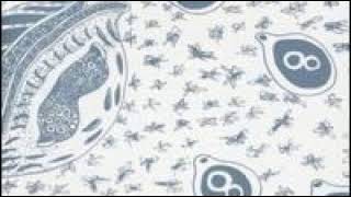 Dikta ‎– Hunting For Happiness /2005 CD Album/