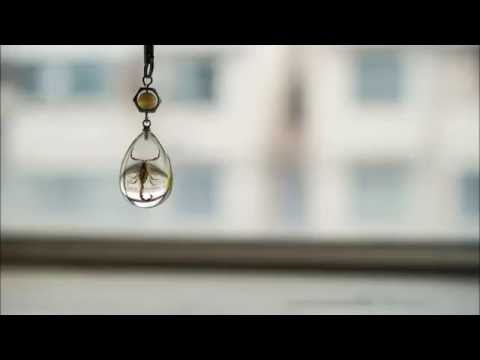 Chris Schweizer vs. Armin van Buuren vs. Aalto - 5 Controlled Scorpions (Indecent Noise Mashup)