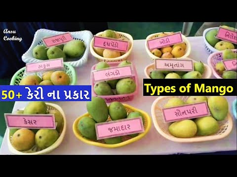 Keri Na Prakar | Types of Mango | Mango Name | Varieties of Mangoes | Keri na Prakar in Gujarati