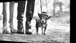 Nick Cave - Darker with the day