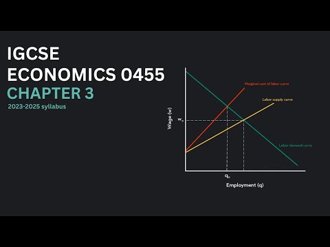 IGCSE Economics 0455 Chapter 3 | Microeconomic decision makers | 2023 - 2025 syllabus