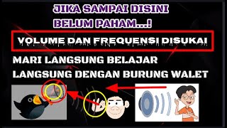 Download lagu 🔴 Dengan Metode Ini Perlahan Anda Akan Tahu serta Paham Kunci Menyetel Volume Dan Frekuensi SP mp3