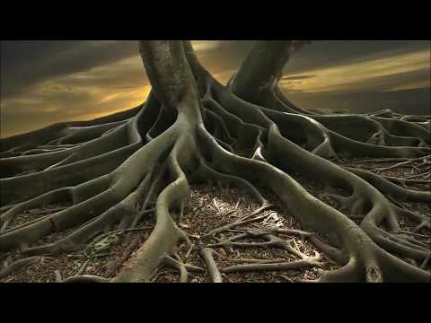 download lagu mp3 mp4 GROUNDED Mp3, download lagu GROUNDED Mp3 gratis, unduh video klip GROUNDED Mp3