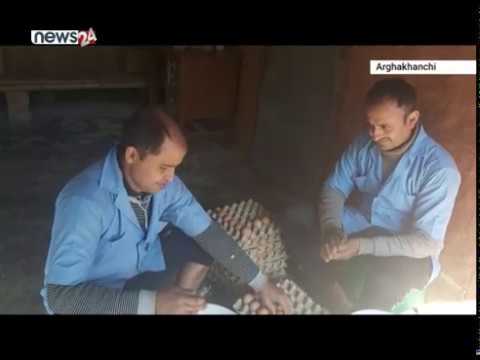 अण्डा उत्पादनमा आत्मनिर्भर बन्दै अर्घाखाँची जिल्ला - NEWS24 TV