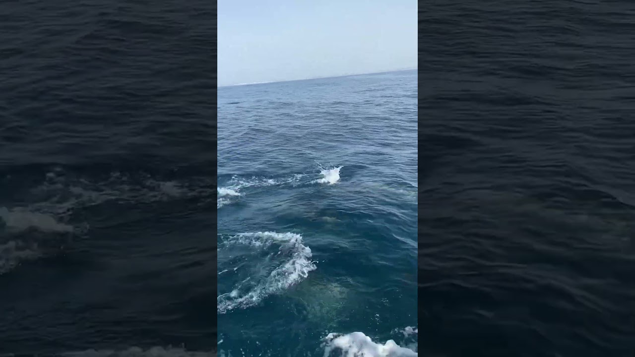 YouTube Short thumbnail