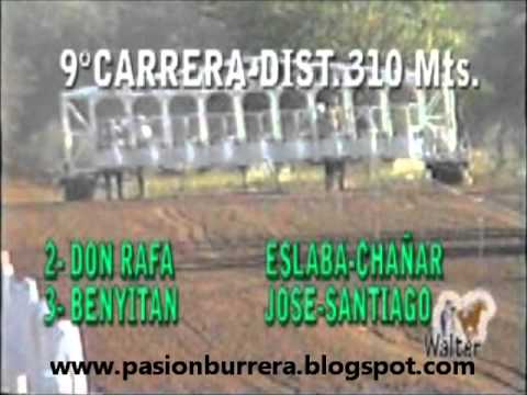 Don Jorge, Don Martín, Benyitan y Puchito - Río Seco (07-11)