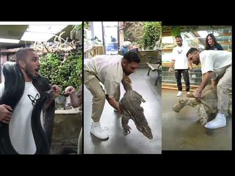 pantoja vs big snake | pantoja Enjoying in animal zoo | UFC 311 | MMA 2025 funny video