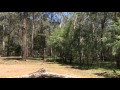 Lakeside Camping Area Lake Eildon National Park Victoria