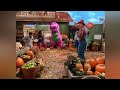 Barney Song I Like Autumn Barney S Halloween Party