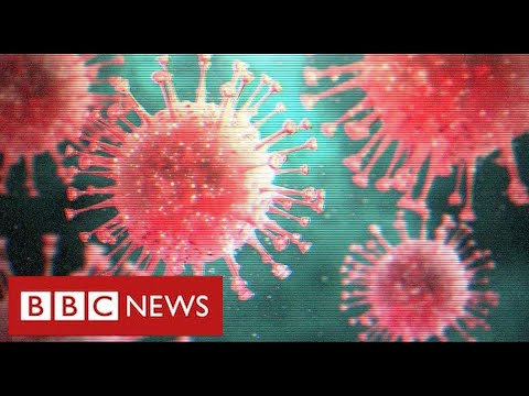 英國新冠狀病毒變種 "失控"，各國宣佈旅行禁令 - BBC News (UK new coronavirus variant “out of control” as countries announce travel bans - BBC News)