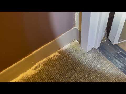 Bed Bugs Going From One Apartment to the Next in Brielle, NJ