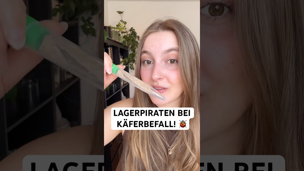Speckkäfer, Teppichkäfer oder Wollkrautblütenkäfer mit Lagerpiraten ganz einfach bekämpfen! 🐞