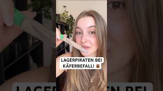 Speckkäfer, Teppichkäfer oder Wollkrautblütenkäfer mit Lagerpiraten ganz einfach bekämpfen! 🐞