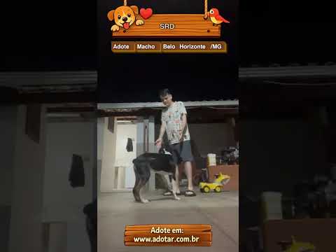 Vídeo de SRD