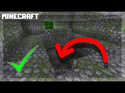 MINECRAFT | How to Loot a Jungle Temple! 1.16.5