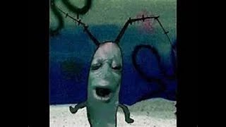 Download lagu Plankton Got Served mp3 Download lagu Plankton Got Served mp3
