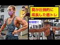 一番効果があった肩の筋トレ!【大会6日前】【ダイエット】【筋トレ】