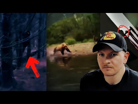 Creepy TikTok's that will keep you up all night 26