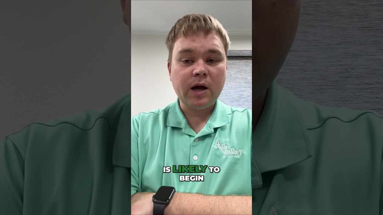 Corn Yield & Bean Outlook