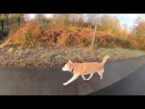 Herne Crange, 25 12 2020