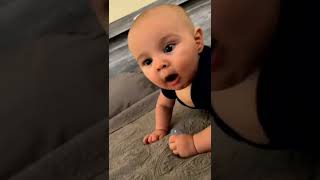 Download lagu Udah bisa bilang mama 🥰#baby #babyshark mp3 Download lagu Udah bisa bilang mama 🥰#baby #babyshark mp3