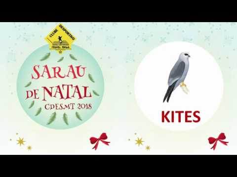 CDESMT - Sarau de Natal 2018 - Kites