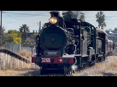 NSW TrainLink Xplorer review plus trainspotting at Maitland, Newcastle Interchange and Chatswood