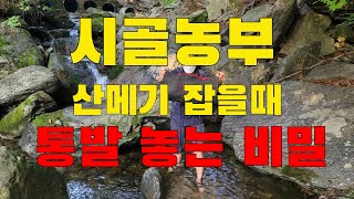 시골농부 산메기 통발놓는 비밀!!! 누구나 쉽게 잡을 수 있습니다