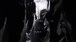 Bc ur mental health matters😂#darkromance #fiction #wattpad  #trend #trending #youtube #youtubeshort