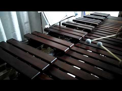 Inni di lode N°591: Fa' che io venga Marimba Cover