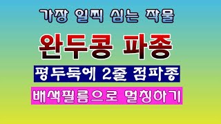 [텃밭농부 1,788]  년중 가장 빨리 심는 작물 완두콩. 파종하는 방법  #완두콩재배