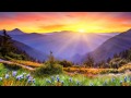 Sunrise Cafe (Violin Relounge) - Comatrixx feat ...