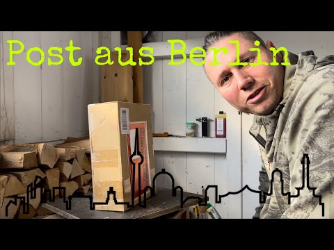 3 Berliner in Südbaden Yamadori Wald Kiefern (Pinus sylvestris) Bonsai 16/22