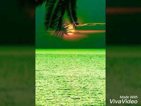 Simos Salias / Thato dis