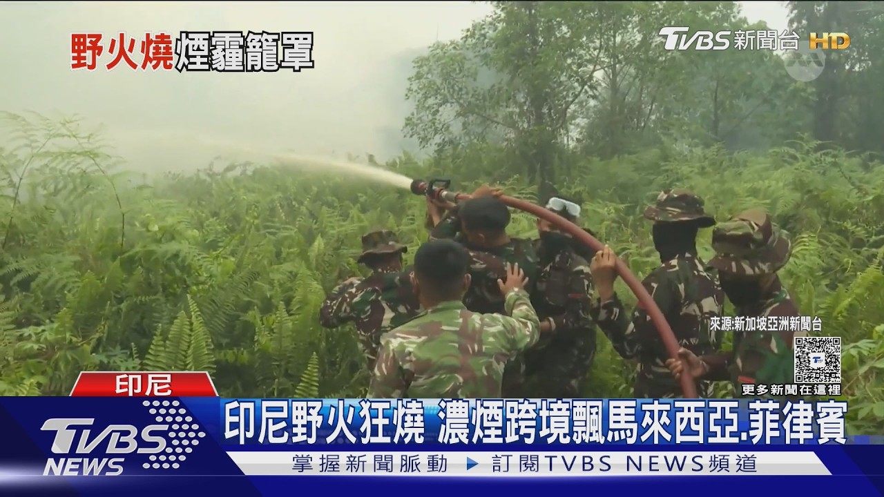 影音／印尼野火燎原「地下悶燒」難滅！濃煙襲東南亞　百萬學生停課