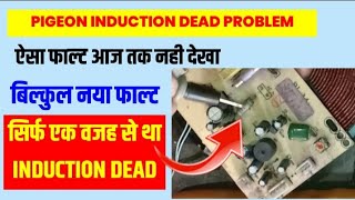 Pigeon Induction ON नही हो रहा /Pigeon Induction Repair/induction cooker repair