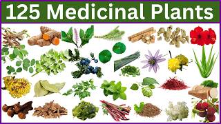 125 Medicinal Plants and Their Usage | Natural Remedies